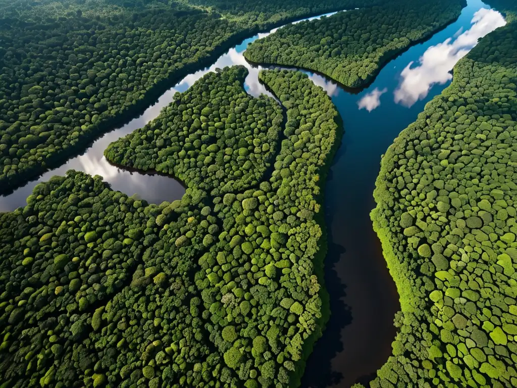 Una fotografía aérea de alta resolución de la exuberante selva amazónica con ríos serpenteantes y un rico dosel verde