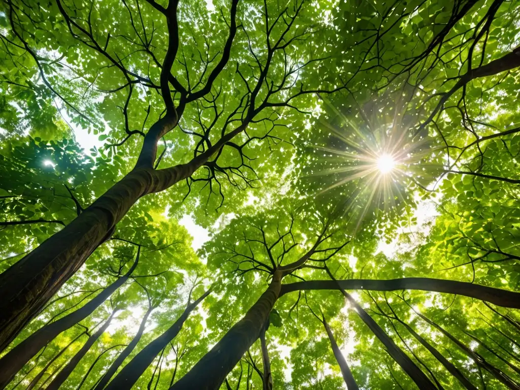 Un bosque exuberante con rayos de sol filtrándose a través de las hojas, creando un efecto moteado en el suelo