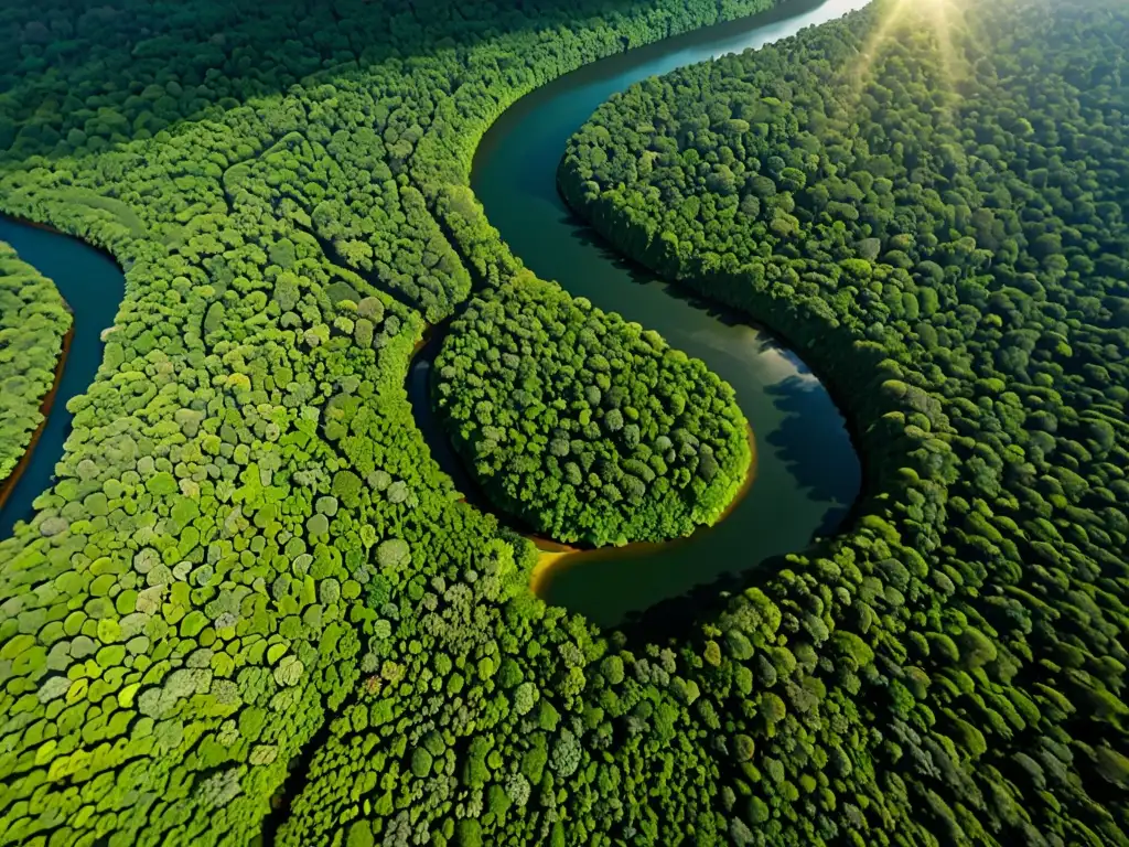 Un bosque exuberante se extiende en un sinuoso río, mostrando la vital importancia de los territorios indígenas y el litigio ambiental