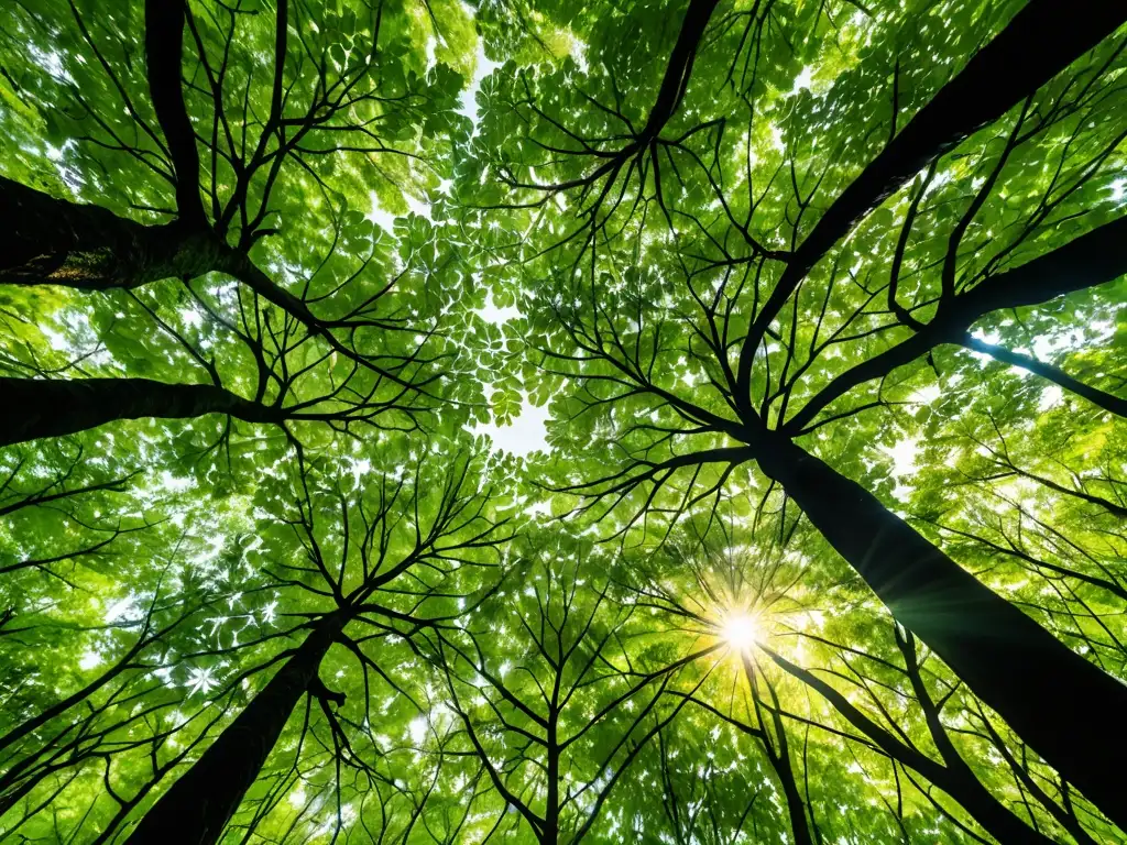 Un bosque exuberante y vibrante, con la luz filtrándose entre las hojas