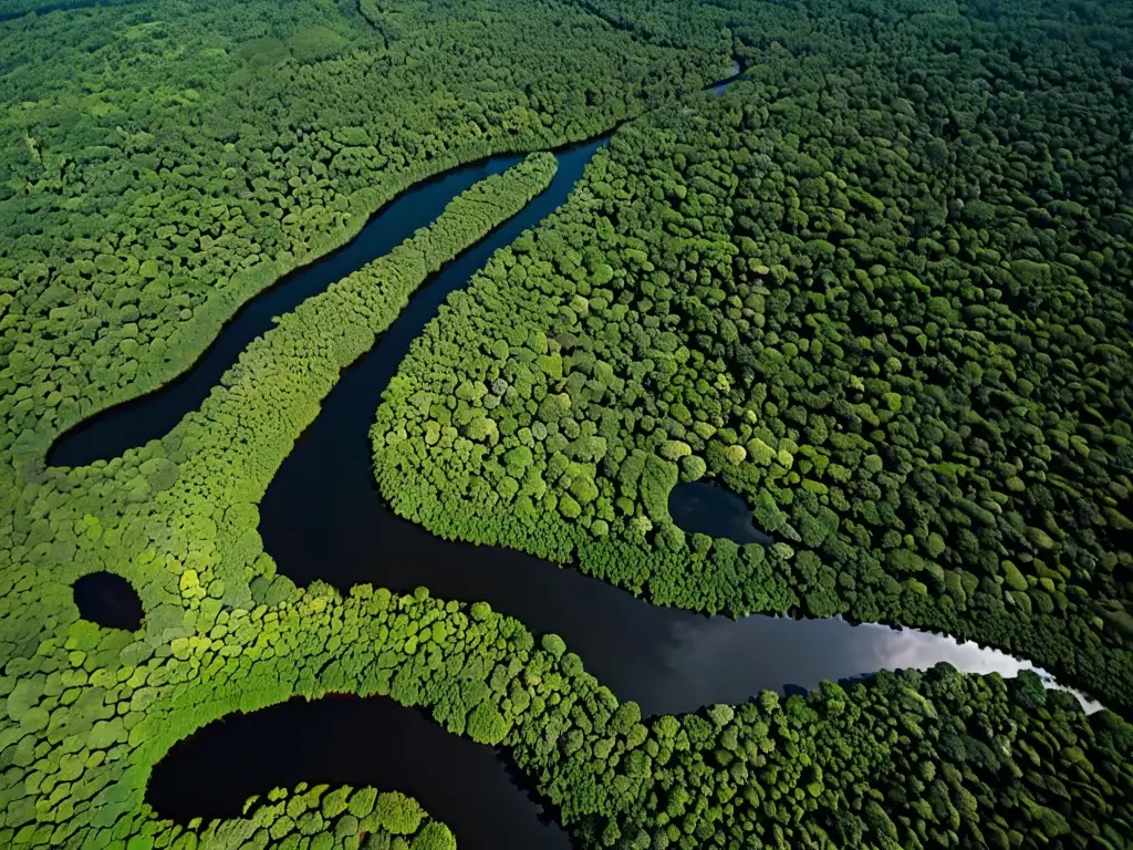 Imagen aérea de exuberante selva amazónica, con ríos serpenteantes y vital importancia educación ambiental legislación América