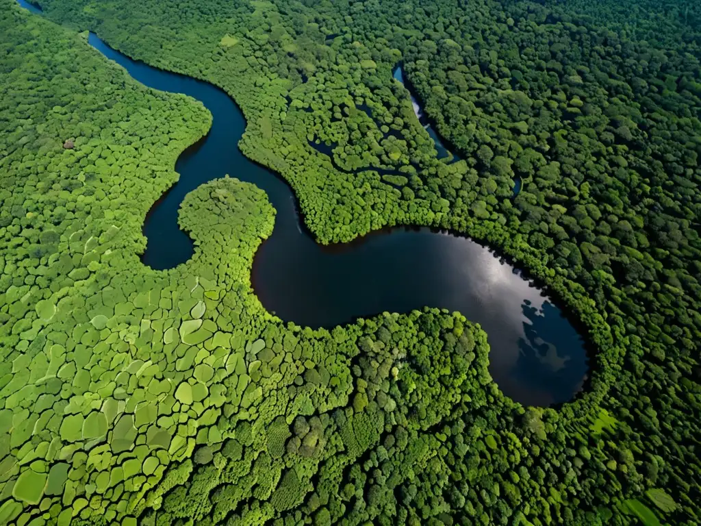 Imagen aérea de alta resolución del río Amazonas serpenteando a través de la exuberante selva tropical de América del Sur