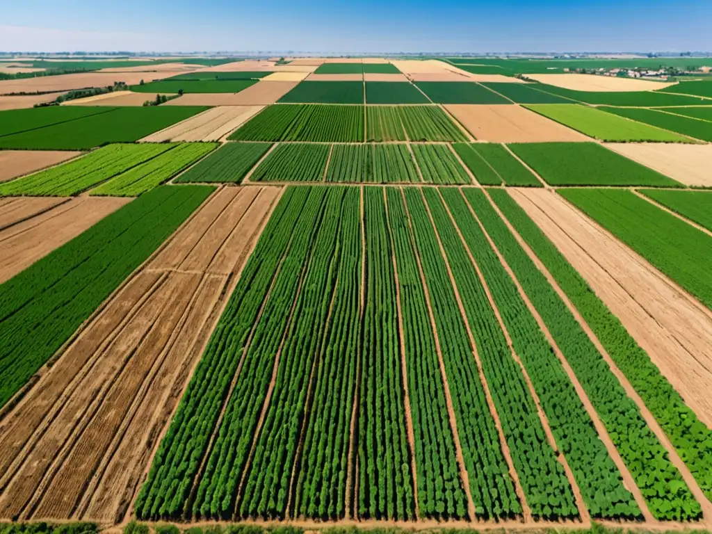 Vista aérea de campos verdes y agricultores con sistemas de riego avanzados, destacando la protección propiedad intelectual innovaciones agricultura