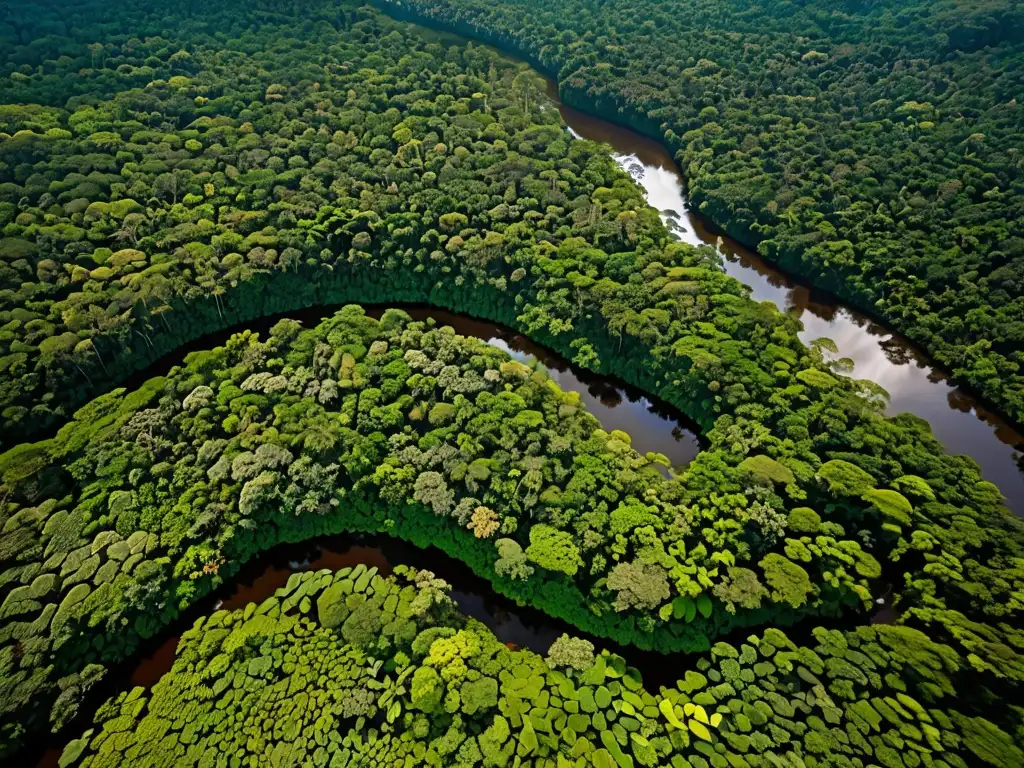 Vista aérea de exuberante selva tropical amazónica, mostrando densa vegetación, río serpenteante y biodiversidad