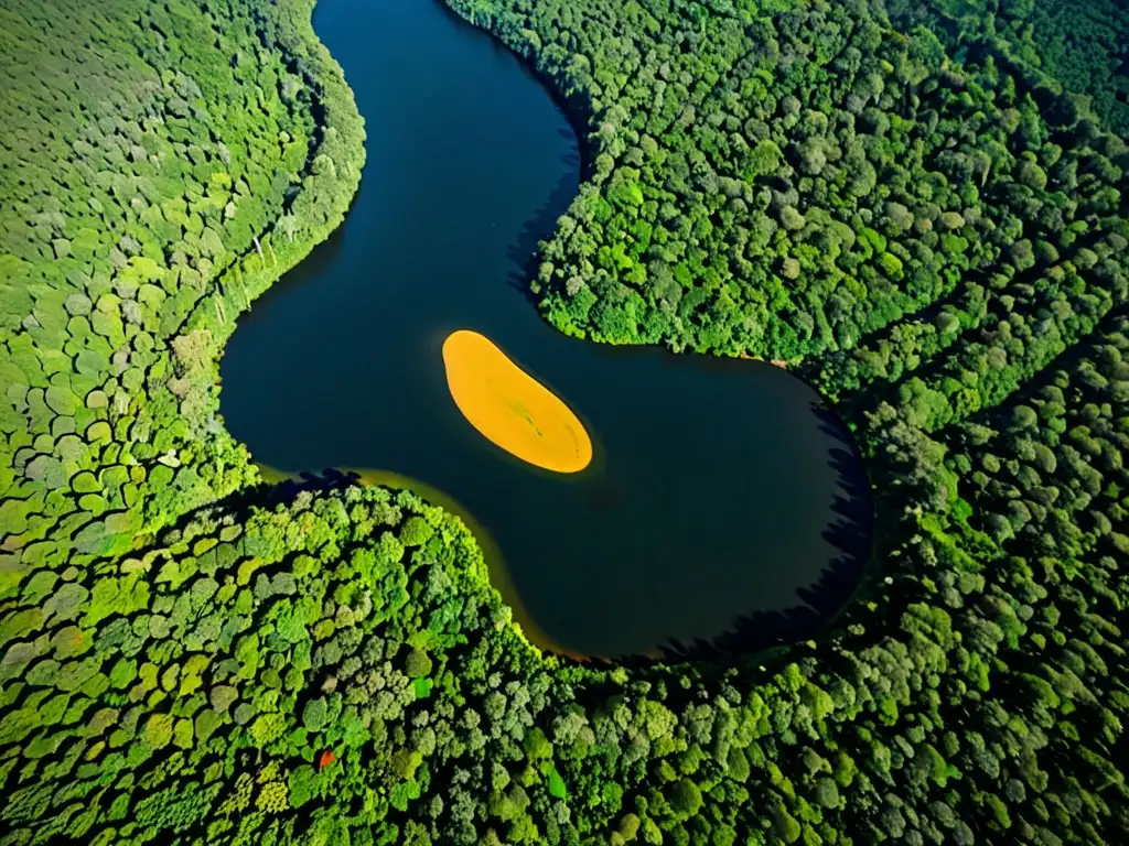 Vista aérea del sinuoso Amazonas en la exuberante selva