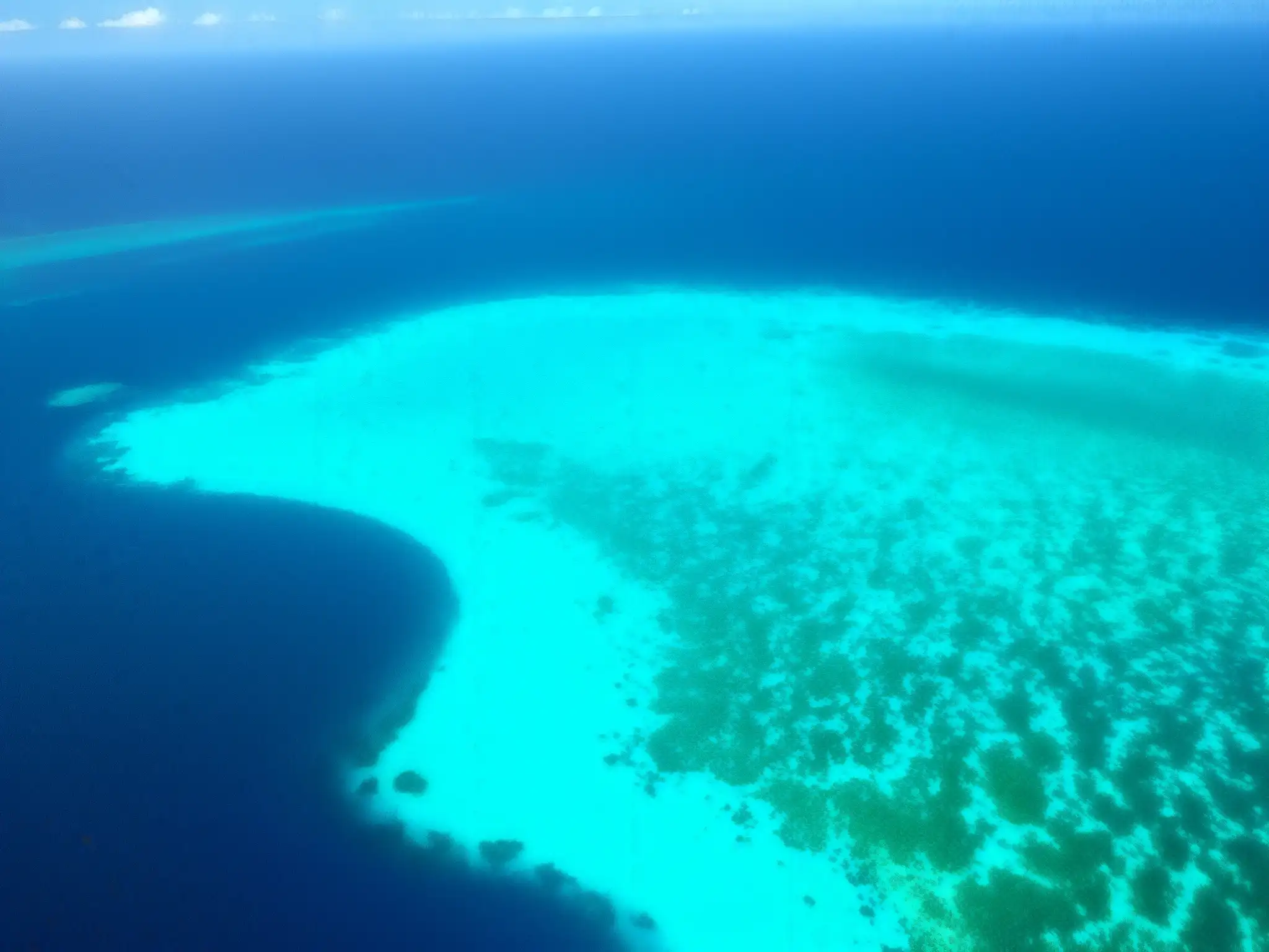 Vista aérea del vasto océano azul con vida marina, resaltando la conservación marina en aguas internacionales